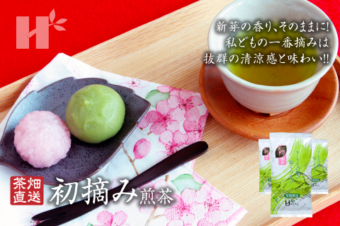 萩村制茶 | 萩村制茶的茶叶 - 第一茬 煎茶
